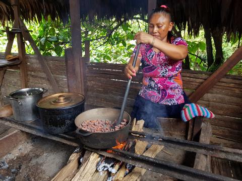 Bribri Medicinal Plants and Chocolate Tour Costa Rica